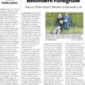 Screenshot "Besondere Fundgrube" Kiebitz KW 18 2025